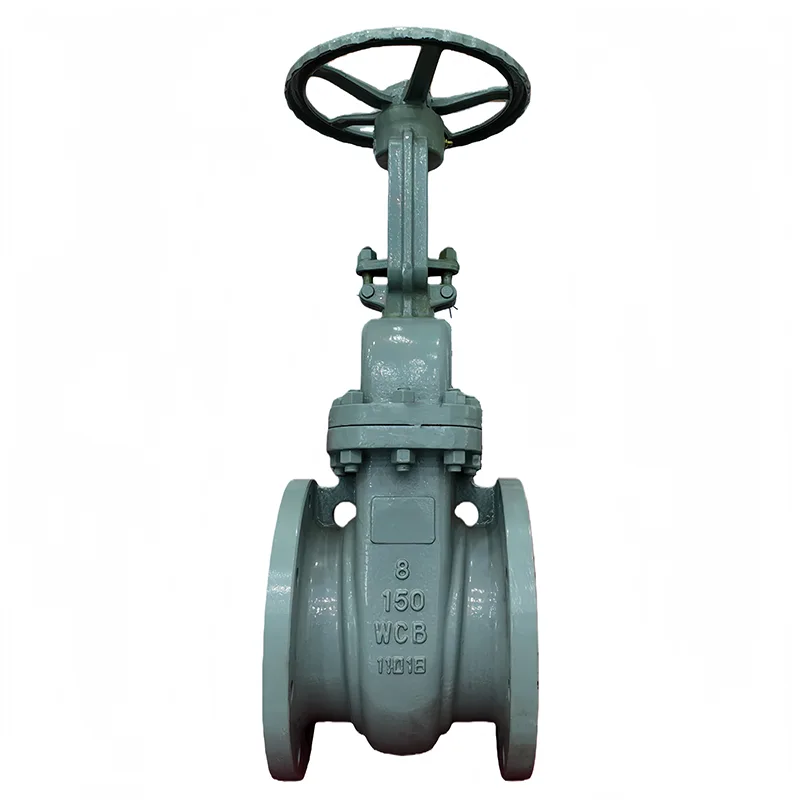 ਕਾਰਬਨ ਸਟੀਲ ANSI Flange ਗੇਟ ਵਾਲਵ