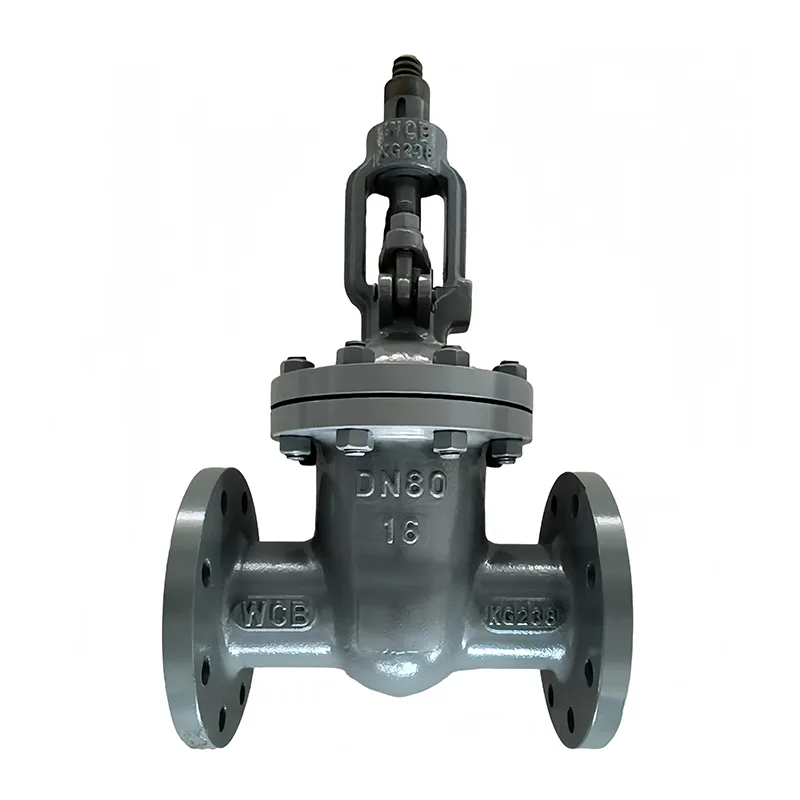 ਕਾਰਬਨ ਸਟੀਲ Flange ਗੇਟ ਵਾਲਵ