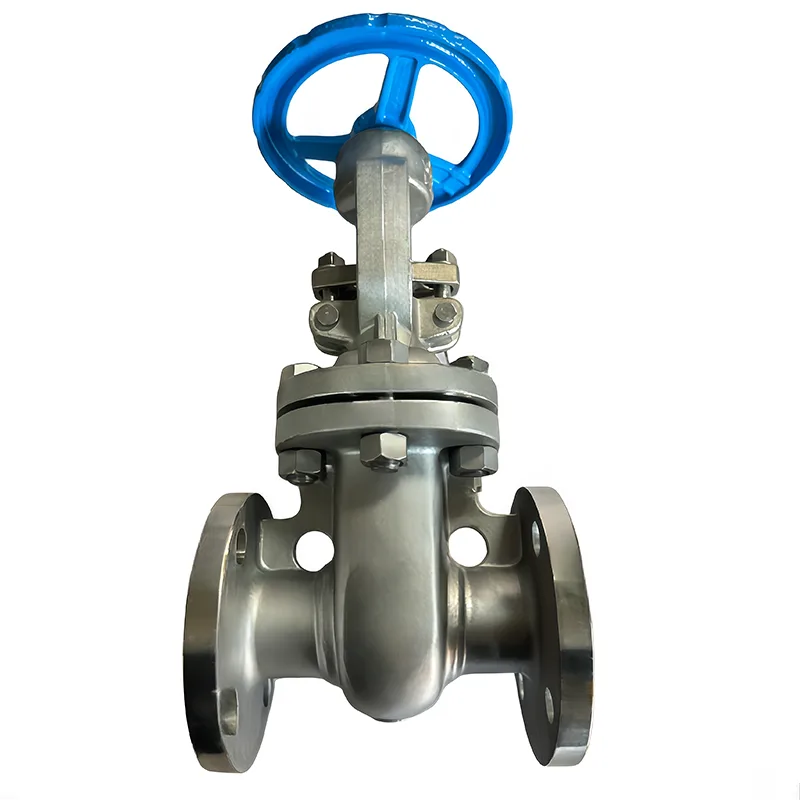 ਸਟੇਨਲੈੱਸ ਸਟੀਲ API Flanged ਗੇਟ ਵਾਲਵ